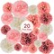 20 Piece Tissue Paper Pom Poms(Blush Pink, Dusty Rose, Mauve, Cream)